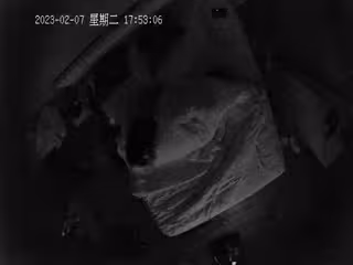 2023-2-7流出安防酒店攝像頭偷拍❤️年輕情趣黑絲美女被抱著操帶著哭腔淫叫