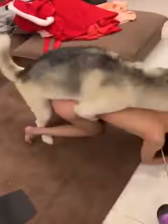媽的，還沒狗幸福呢