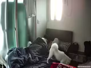 黑客破解居家摄像头偷拍❤️棒子年轻情侣家里打情骂俏做爱日常流出1