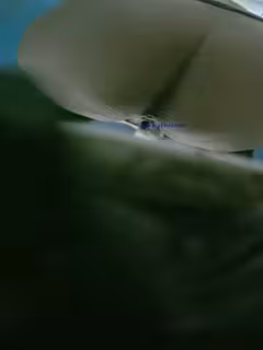 頂級全景藍色隔板系列第13期❤️近距離偷窺幾個年輕少婦的小黑鮑