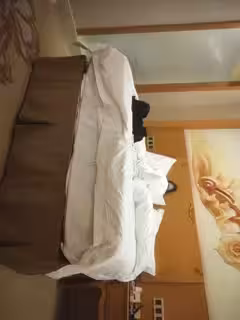 【探花約良家】，丸子頭，黑框眼鏡，知性小白領，酒店今夜活色生香好激情1