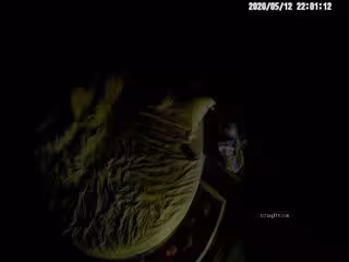 超有感覺鐳射燈房數對男女啪啪有情侶偸情光頭大哥牛逼很生猛美少婦被肏的嗷嗷慘叫要哭了大喊你輕點05-12_21-51-49_666
