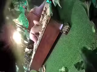 《全新360稀缺㊙️精選》熱帶雨林房真實欣賞數對激情男女滾床單亮點多多✅角色反轉女操男四眼哥最後衝刺真牛逼給力08-24_1_1