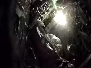 《全新360稀缺㊙️精選》熱帶雨林房真實欣賞數對激情男女滾床單亮點多多✅角色反轉女操男四眼哥最後衝刺真牛逼給力09-12_1_1
