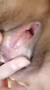 甜美少婦約炮眼鏡胖男