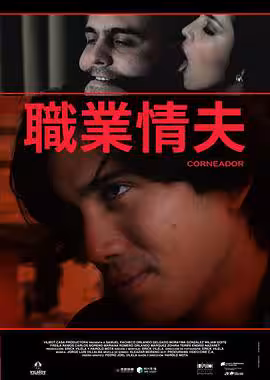 職業情夫