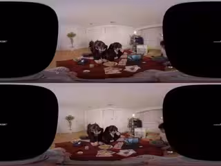 #TBVR3D VR3DSVR-0196 SOD女子社員が仆の部屋にやってきた！せっかくな