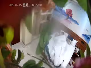 2022-5-25流出❤️前天攝像頭被發現的絕版花草房偷拍貪吃的紋身哥每次撲騰幾下就射了妹子還沒爽一臉不悅