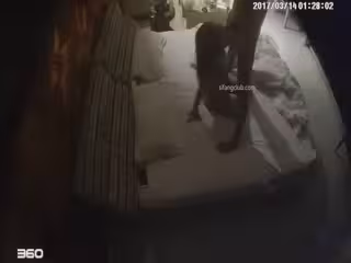 【360】補漏 經典稀有格子佩奇,急速打樁機，漂亮女友叫聲可射