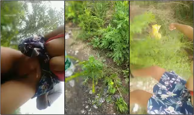 年紀不是很大的女主播和木訥男小樹林打野戰直播男的被蚊子叮了一腿包