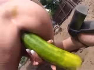 蕩婦騎著巨大的黃瓜在野獸女孩的性愛動作中深喉騎乘馬的雞