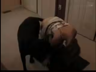 成熟的巫婆使她很好用的jism桶被她的狗搗碎