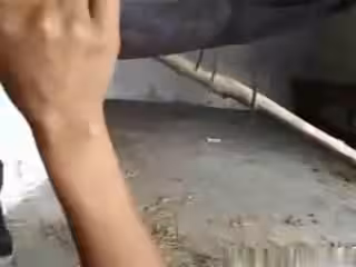 成熟的女孩对残酷的野兽性疯狂吞下了女孩性马场景中的大量