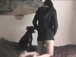 別致的時髦主婦喜歡在別人都沒有看的情況下帶狗把手