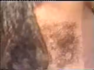 比特犬在她未刮毛的縫隙中交配了這個白色的小傷口
