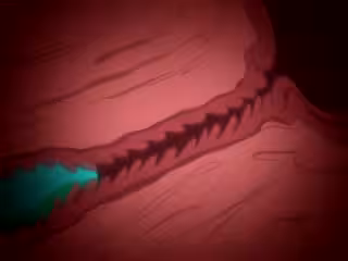 苗床デーモンズグラウンド1-Naedoko Demon's Ground 1