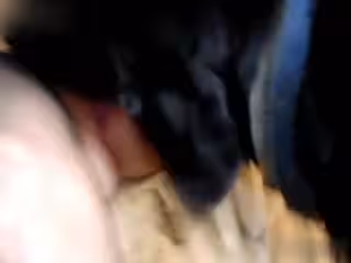 [狗舔貓]k9摩洛伊斯蘭解放陣線喜歡她的陰蒂舔她的寵物