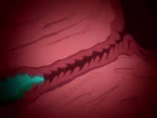苗床デーモンズグラウンド1-Naedoko Demon's Ground 1