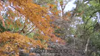 (中字)姐姐婚前旅行中、偷偷持续吸姐姐奶子桃色家族