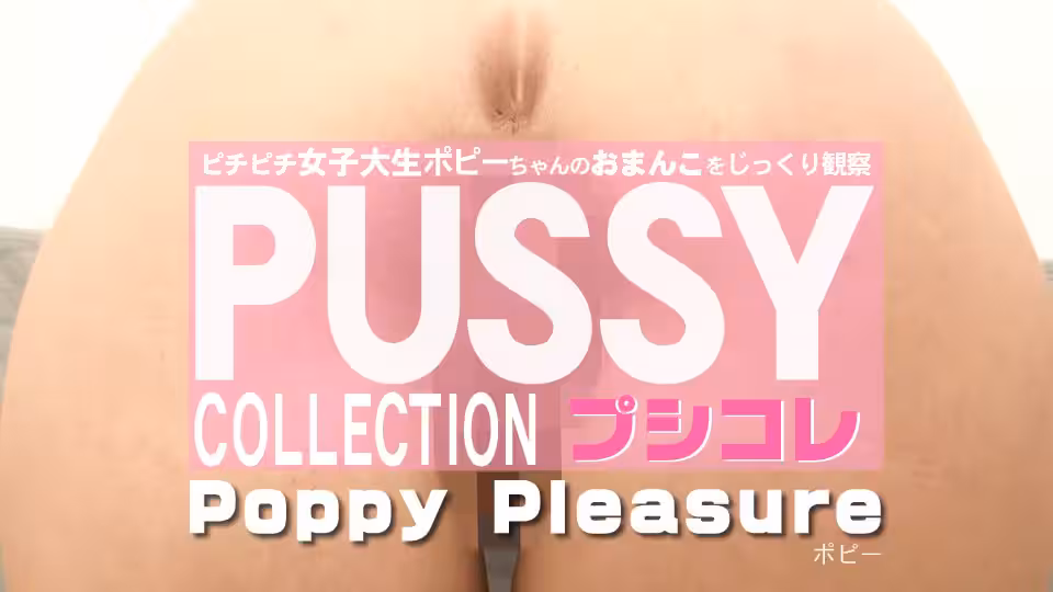 金8天國  ポピー プレシュア PUSSY COLLECTION ピチピチ女子大生ポピーちゃんのおまんこをじっくり観察 プシコレ Poppy Ple