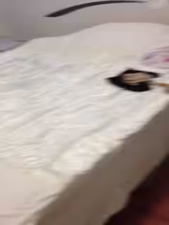 師哥的炮友(1).mov