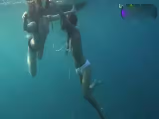 深海雙花裸泳展優美身姿