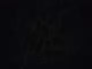 Asagi 60FPS 2