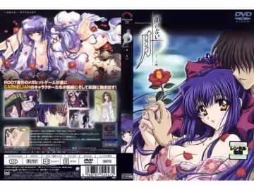 顏のない月 第1夜 「椿」