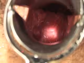 TokyoHotn1262東熱激情屈辱羞恥クスコ特集part1滝沢美鈴,小宮山憐,渡辺美奈,山田まり,吉川雪菜,山口玲子,渋谷りな,速川ひかり,相沢もも,青木梨花第02集