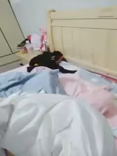 某女主播福利視頻，很騷
