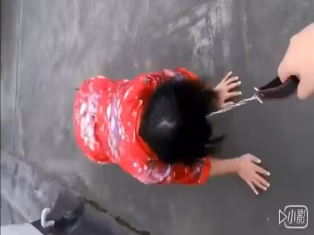 【國產】網紅少女-騷妹紙萌犬一隻跪舔口爆大雞吧插騷浪淫穴高鐵