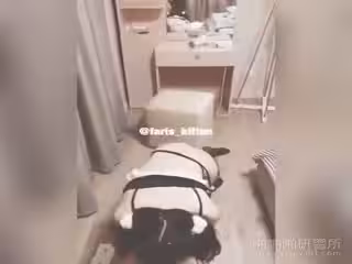[調教系列] 女僕的犬奴調教~賤狗!!舔我的襪子吧!!