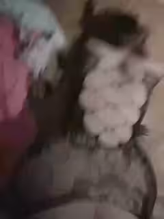 喜歡大屁股