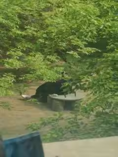 video_2021-08-19_19-22-11