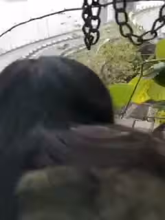 边看风景边打炮享受呀