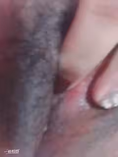 來來來了