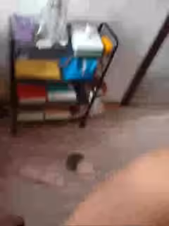 老公剛出門就被操了的小騷貨