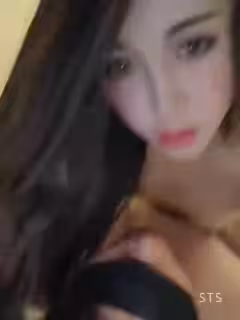 極品偽娘花美人