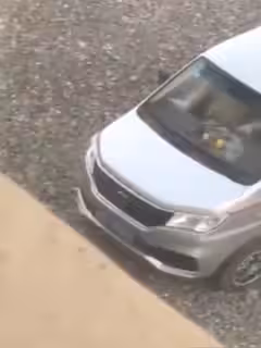 獨家曝光· 光天化日搞車震以為人家看不到