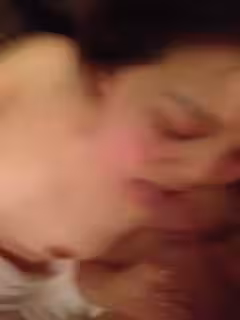 尋找雙飛