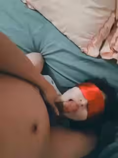 我家的小可愛