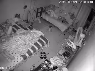 九月新流出破解家庭網絡攝像頭奇芭的小兩口和幾個小狗共住一個房