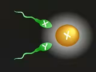 稀有資源✅科普性教育衛生部研究內部資料✅真人示範，男女生殖健康科普，國語中字第03集