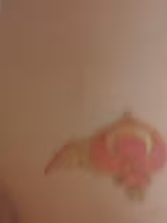 這是紋了個招財貓嘛