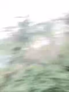 景區極品露奶
