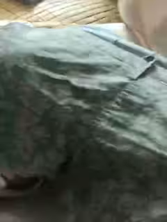 客廳直接來火車便當