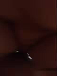 高挑年輕漂亮嫩妹緊身絲襪陰毛隱約可見深喉幾把直播給粉絲欣賞啪啪淫叫我要高潮了操死我了第03集