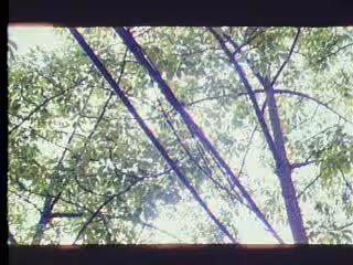 夏日狂情[邱玉茹]a