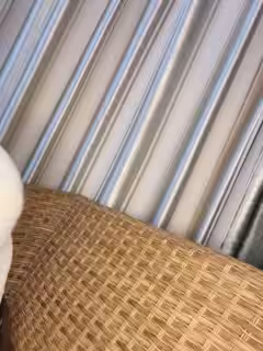 獨秀一支舞--諾寶寶，不用叫床，妖艷的身材舞蹈騷氣獨秀，足以引得GG們內射褲兜里！第01集