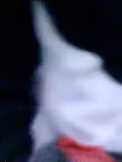 傢伙挺大的小青年約炮賤貨少婦姐姐看到在錄視頻對著鏡頭掰B變得異常興奮說J8好好吃第03集
